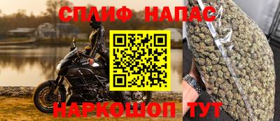 кокс Донской