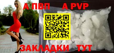 кокс Донской