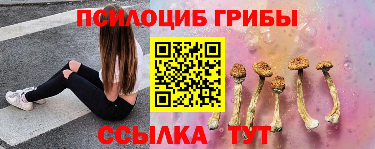 Муром  Псилоцибиновые грибы Psilocybe  Вход с VPN 