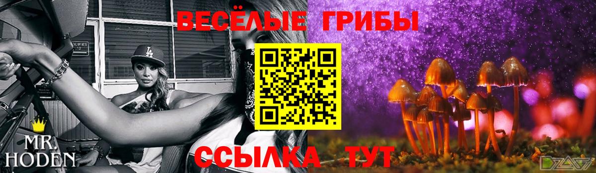 Псилоцибиновые грибы GOLDEN TEACHER Муром